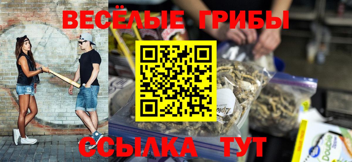 Псилоцибиновые грибы мухоморы  Вход с VPN  Михайловка 
